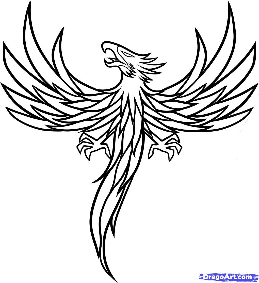 1020x1114 Outline Phoenix Tattoo Design Black Outline Phoenix Tattoo Design - Phoenix Outline Drawing