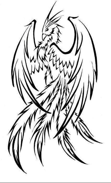 426x700 Phoenix Outline - Phoenix Outline Drawing