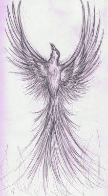 221x400 Hd Phoenix Bird Drawings In Pencil Pic Is One Of Our Picture - Phoenix Pencil Drawing