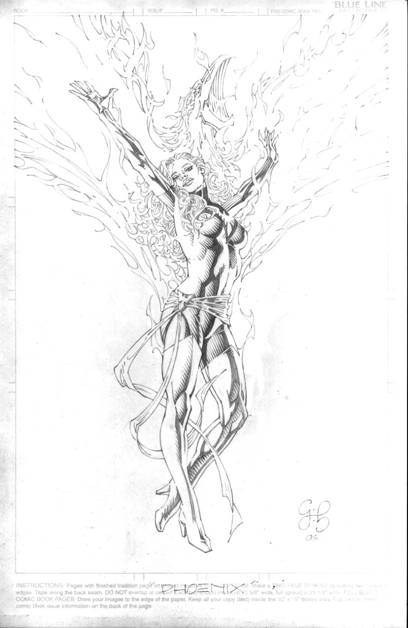 813x1250 Phoenix - Phoenix Pencil Drawing