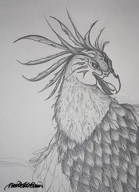 Phoenix Pencil Drawing at PaintingValley.com | Explore collection of ...