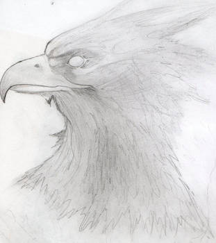 311x350 Phoenix Pencil Sketch - Phoenix Pencil Drawing