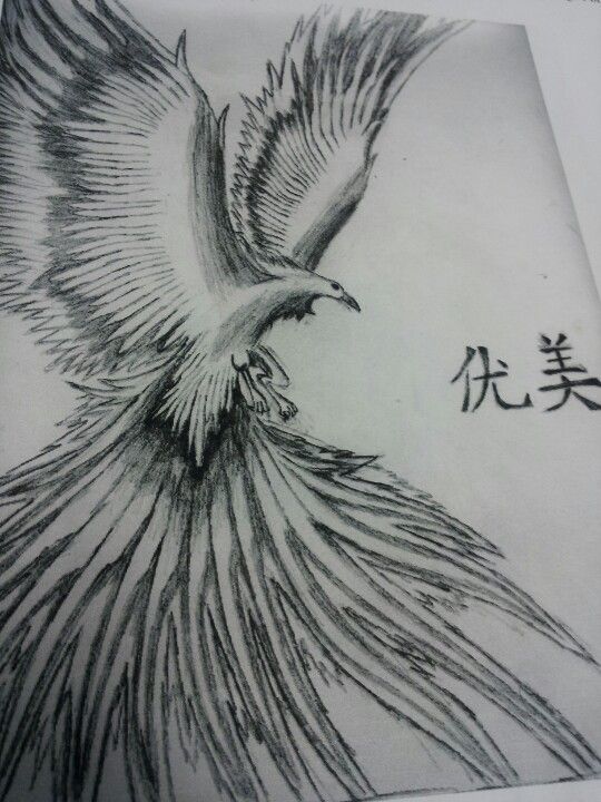 540x720 Phoenix Drawing Just Stuff Phoenix Drawing, Bird Drawings - Phoenix Pencil Drawing