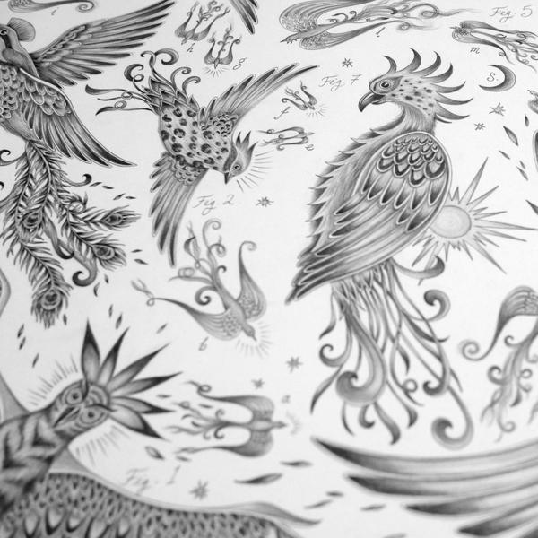 600x600 Phoenixes In Flight Emma J Shipley - Phoenix Pencil Drawing