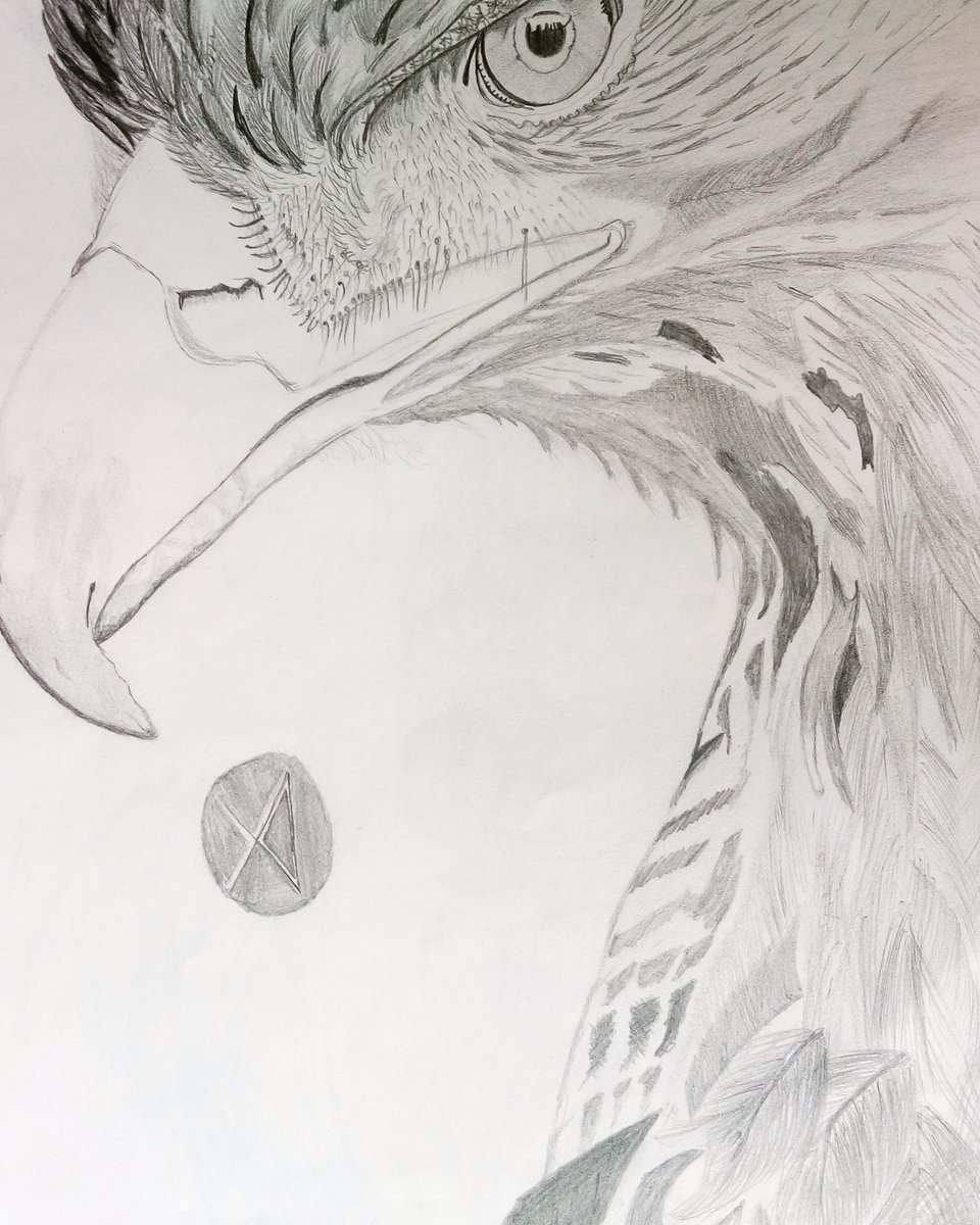 960x1200 On Twitter Phoenix Pencil Sketching - Phoenix Pencil Drawing