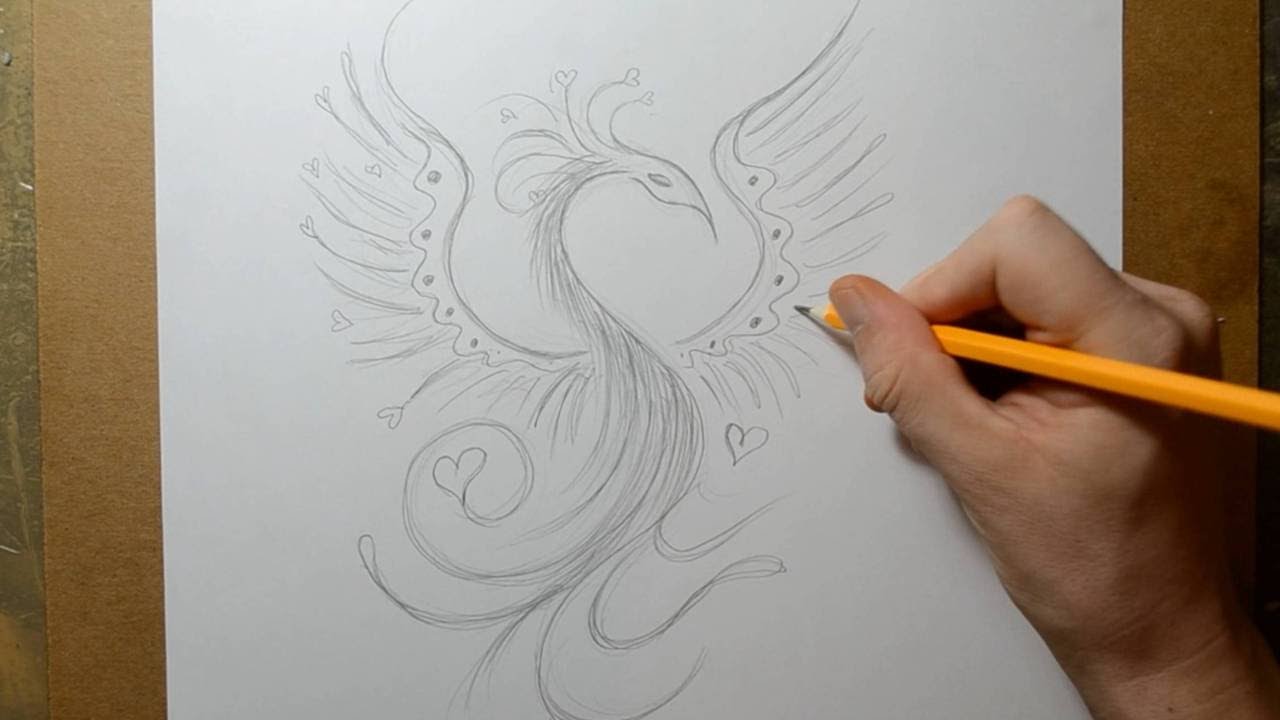 1280x720 Sketching A Feminine Phoenix Design - Phoenix Pencil Drawing