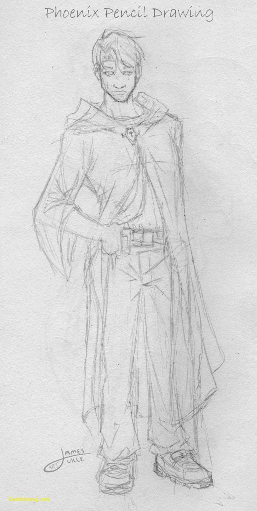 515x1024 how to get into drawing primary original phoenix pencil drawing - Phoenix Pencil Drawing