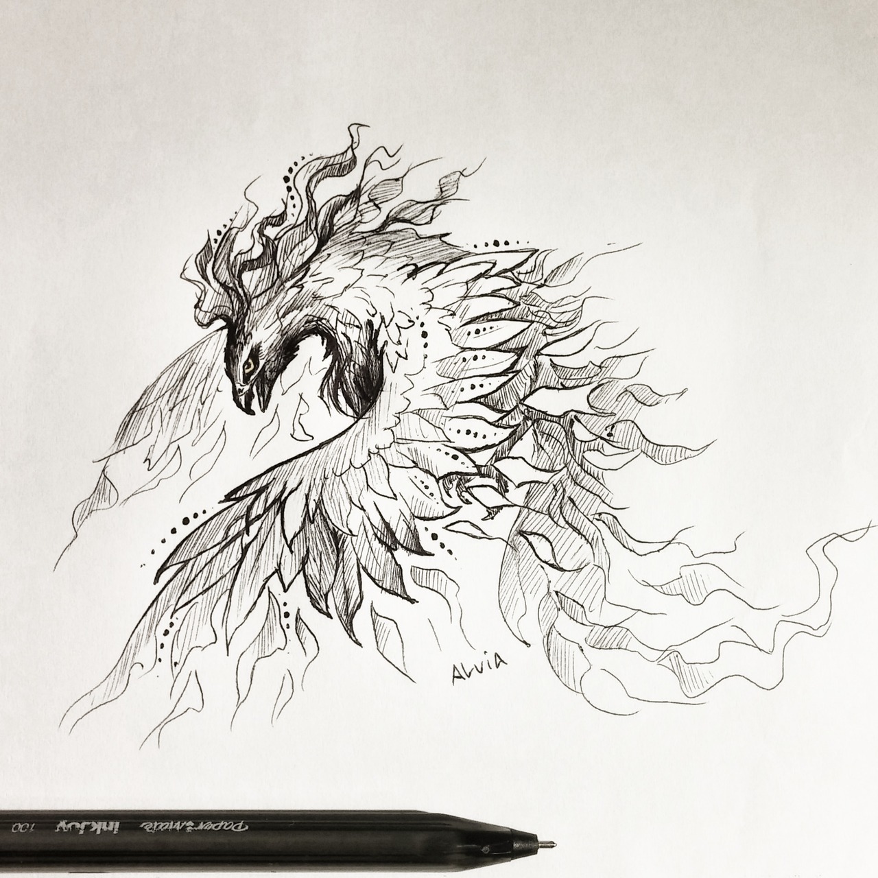 Phoenix Pencil Drawing at Explore collection of