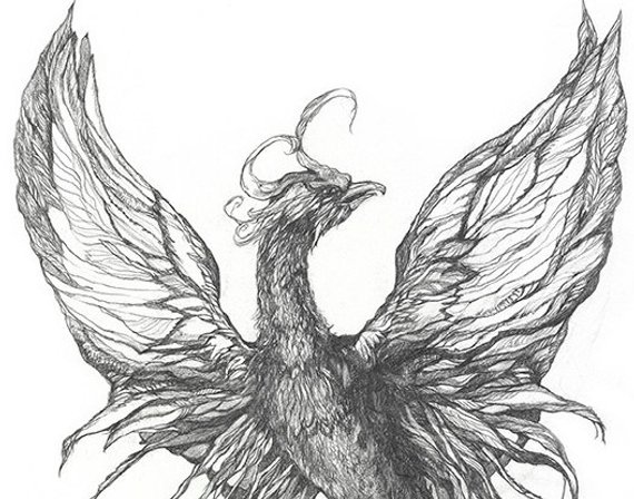 570x448 phoenix rising etsy - Phoenix Rising From The Ashes Drawing.