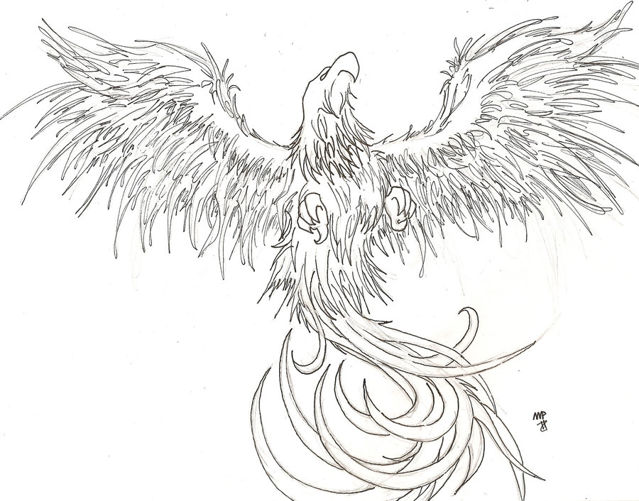 900x706 Once Again The Phoenix Tattoo Tattoo Ideas - Phoenix Tattoo Drawing