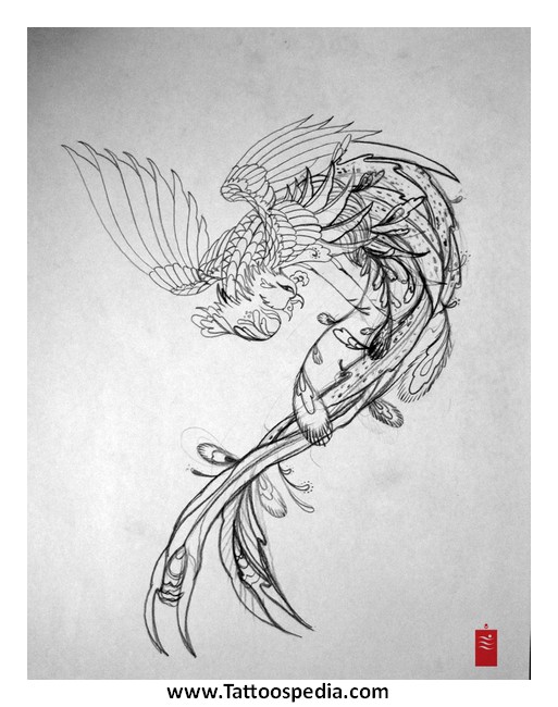 513x650 Phoenix Tattoo Drawings - Phoenix Tattoo Drawing
