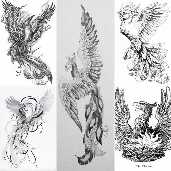 700x700 Phoenix Tattoos Meaning - Phoenix Tattoo Drawing