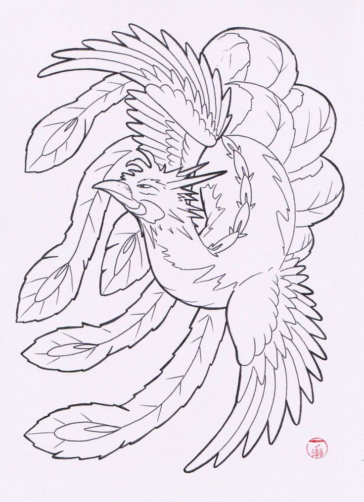 736x1013 Tattoo Trends - Phoenix Tattoo Drawing