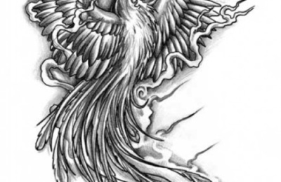 400x260 Tattoo Designs Phoenix - Phoenix Tattoo Drawing