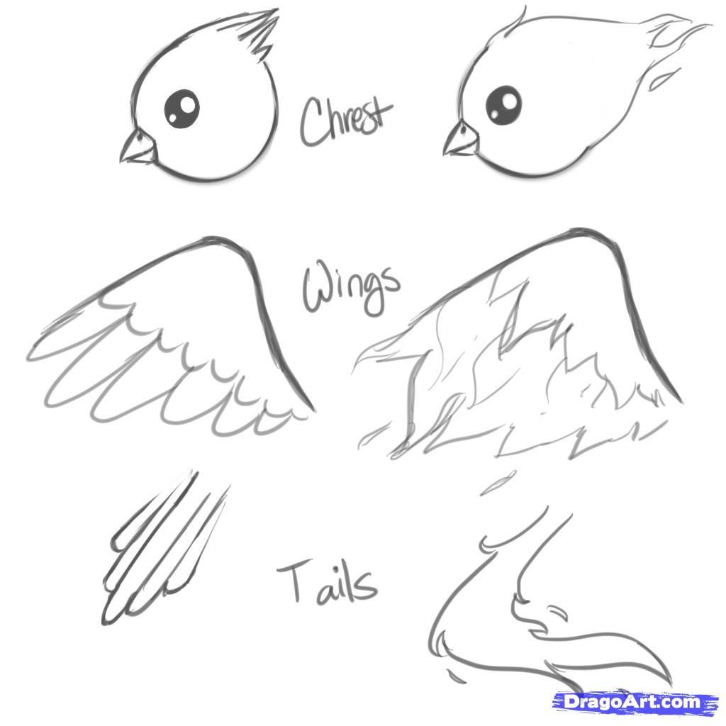 1024x1024 Draw A Phoenix, Fire Bird, Step - Phoenix Wings Drawing