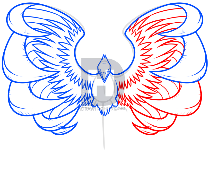 860x720 Drawing A Phoenix Step - Phoenix Wings Drawing