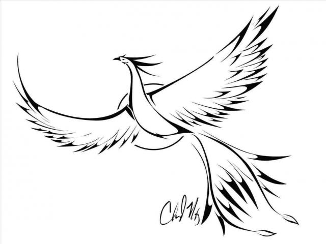 640x480 Drawn Phoenix Wings - Phoenix Wings Drawing