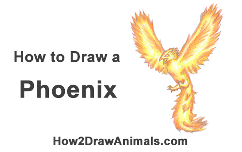 500x315 How To Draw A Phoenix - Phoenix Wings Drawing