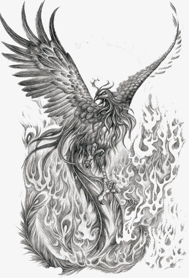 386x567 Phoenix Wings, Tattoo, Fly Png And For Free Download - Phoenix Wings Drawing