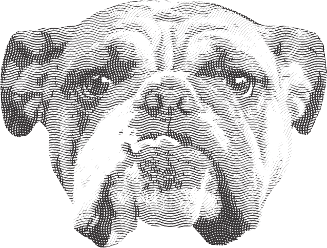 638x484 how to create a realistic money effect in corel draw theblog - Photo Drawing Effects