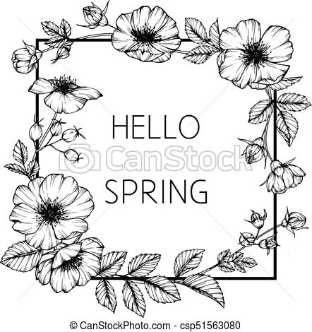 442x470 wild rose flower frame drawing - Photo Frame Drawing