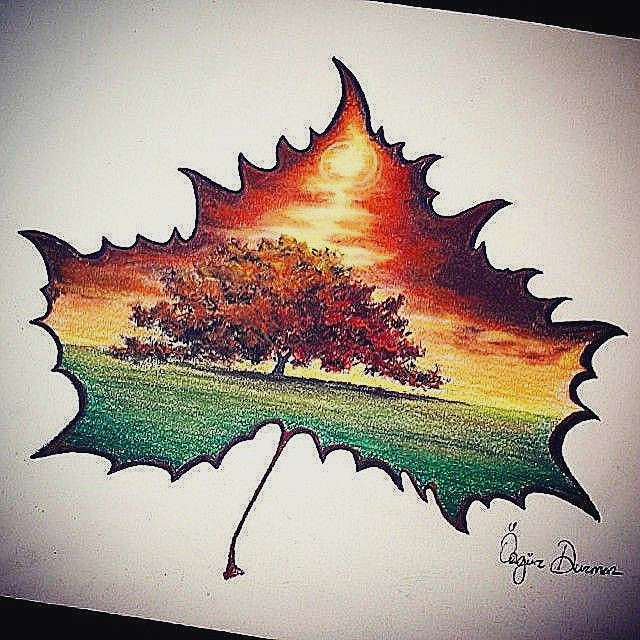 640x640 Drawing With Color How To Draw With Colored Pencils Best Of Tree - Photo To Color Drawing