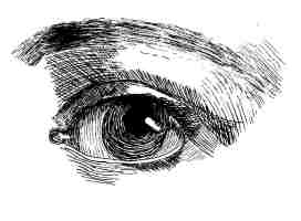 272x200 Free Drawing - Photo To Drawing Free