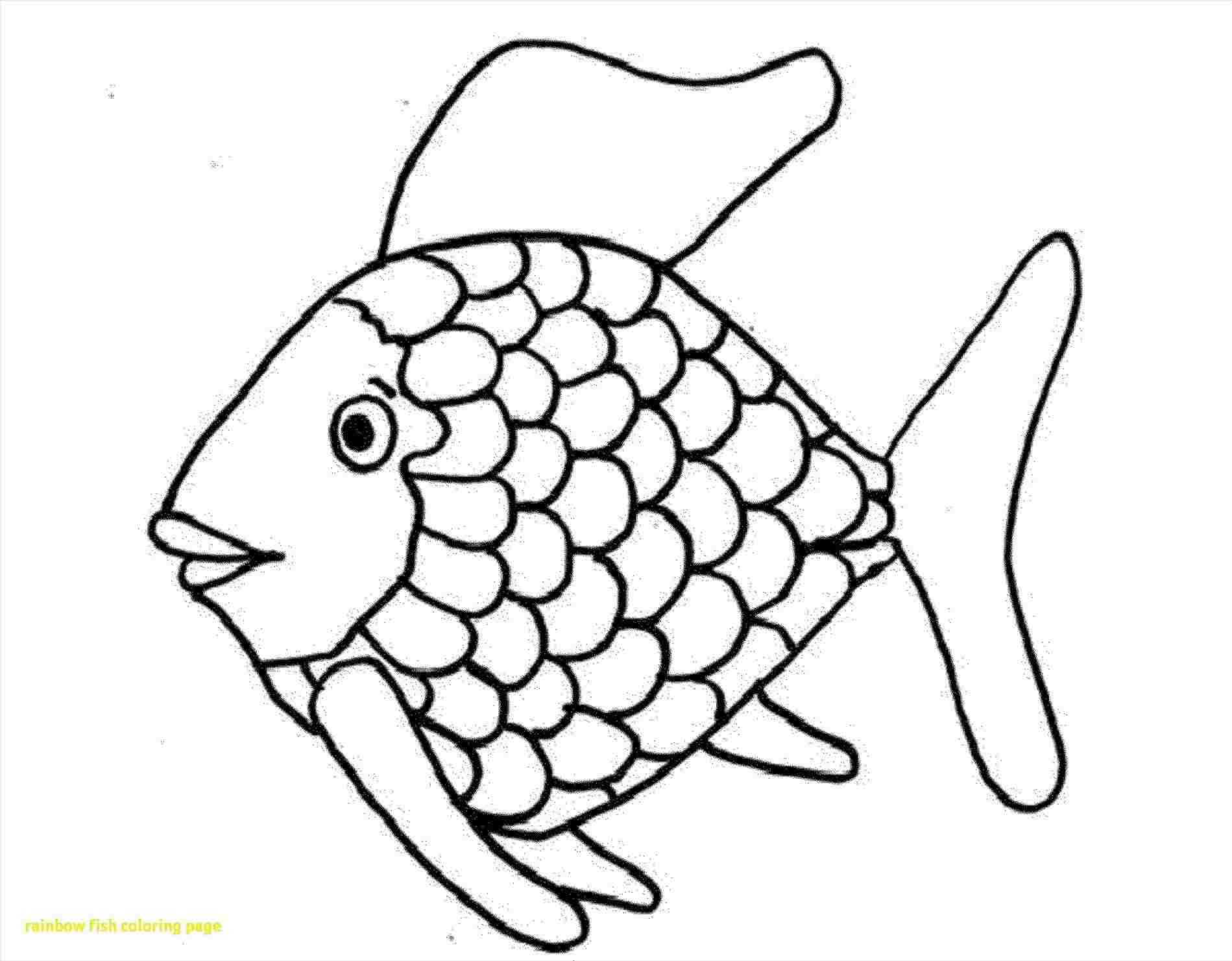 1899x1481 Fish Coloring Pagesrhbestappsforkidscom Free Outline Drawings - Photo To Outline Drawing Free