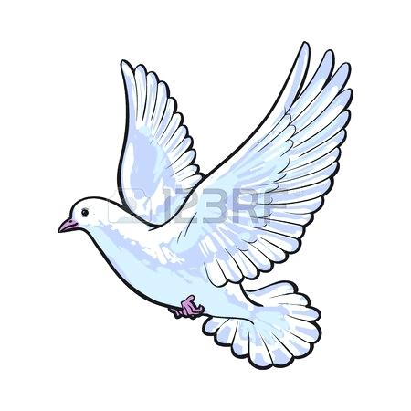 450x450 Dove Outline Drawing Free Flying White Dove Sketch Style Vector - Photo To Outline Drawing Free