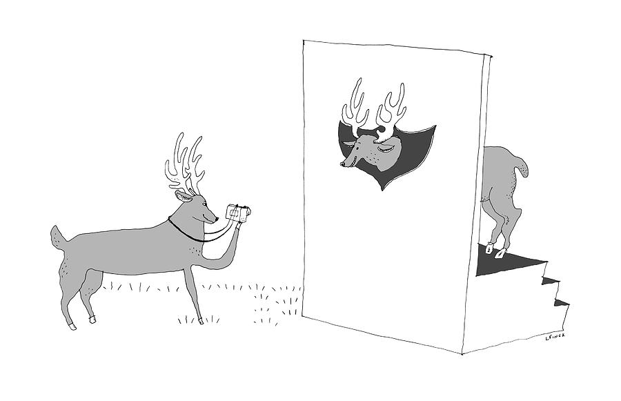 900x581 Deer Photographer Drawing - Photographer Drawing