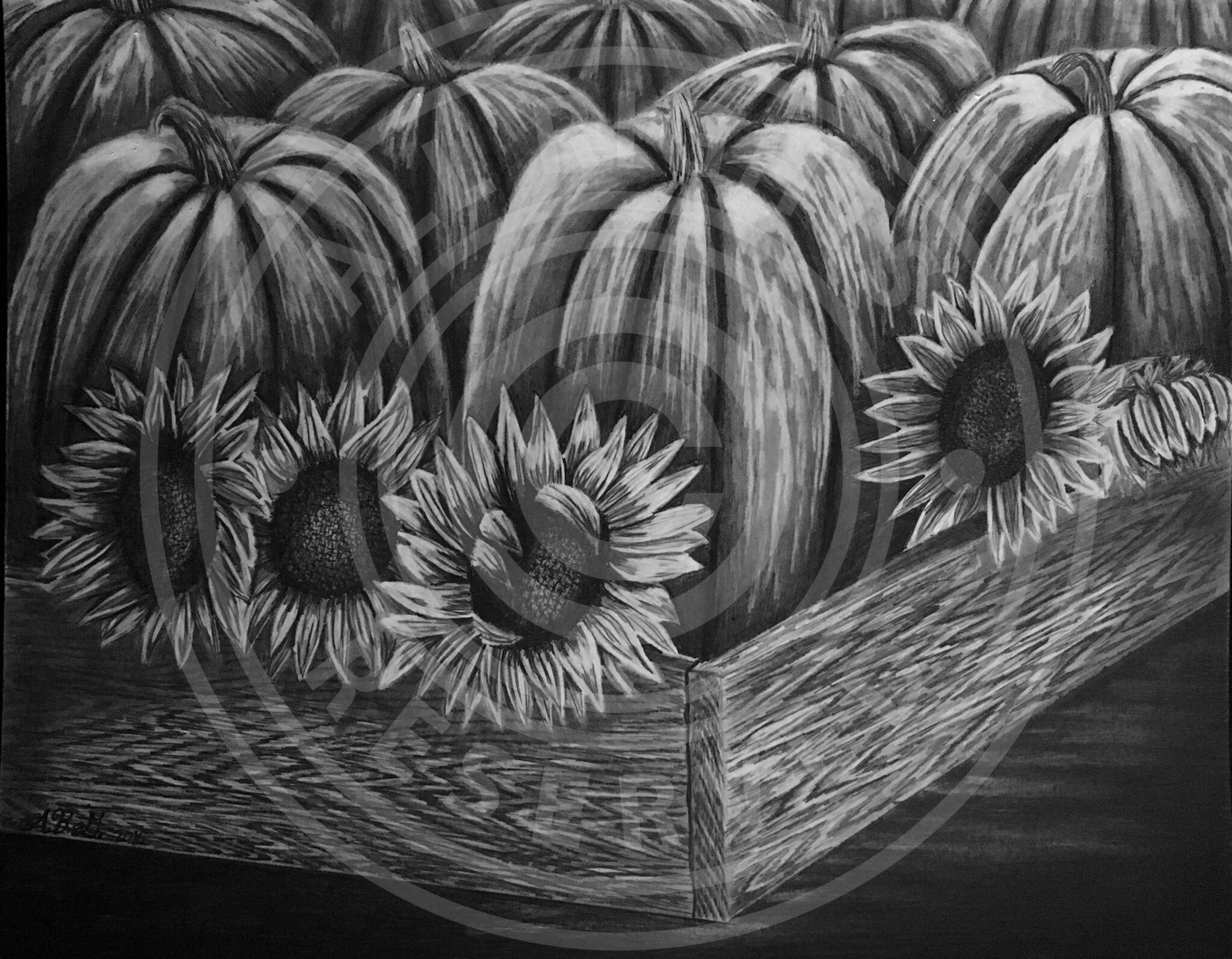 2048x1594 ali's art visionary designs and photography - Photography Drawing