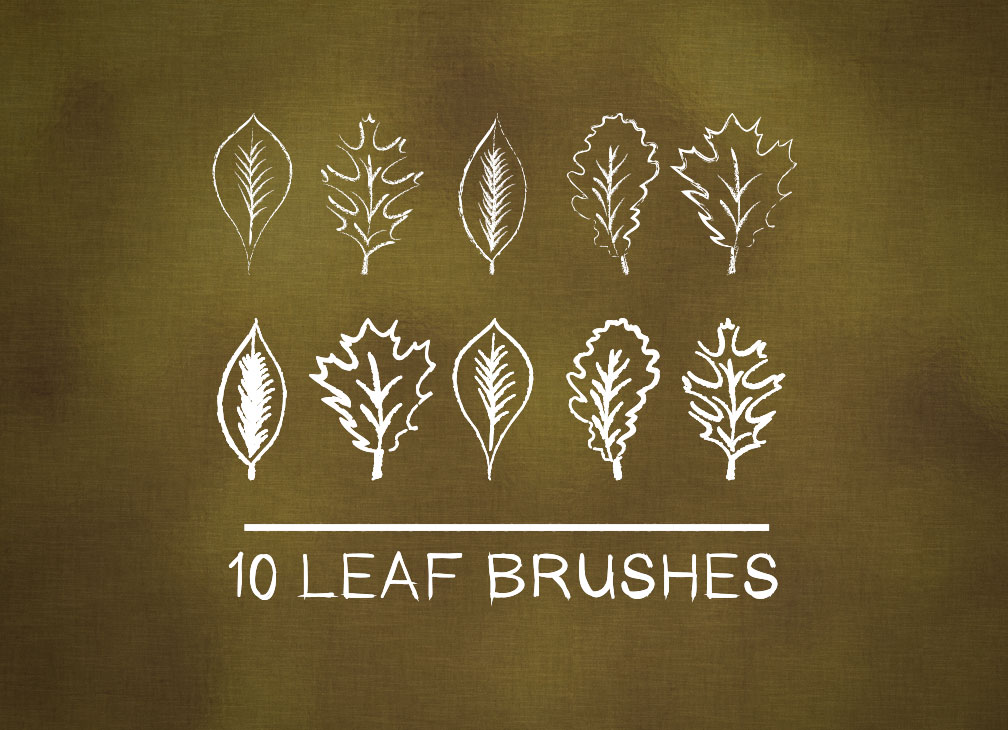 1008x730 Fall Freebie How To Draw Leaves With Photoshop And Illustrator - Photoshop Drawing Free Download