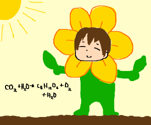 300x250 Plant Man Doing Photosynthesis Drawing - Photosynthesis Drawing