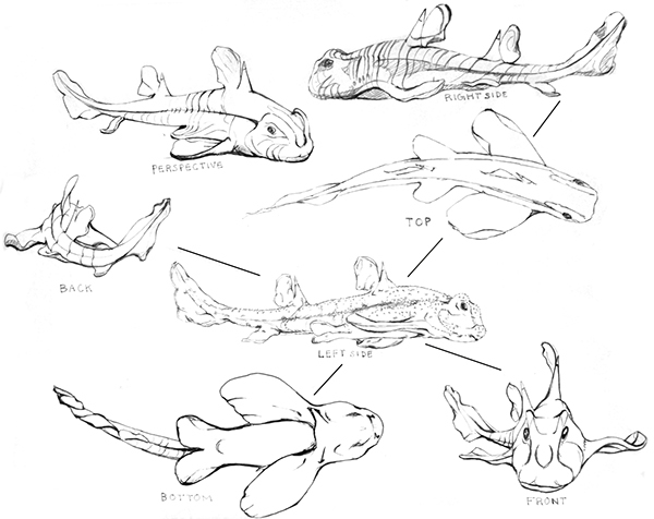 600x476 drawing viewpoints on student show - Physical Drawing