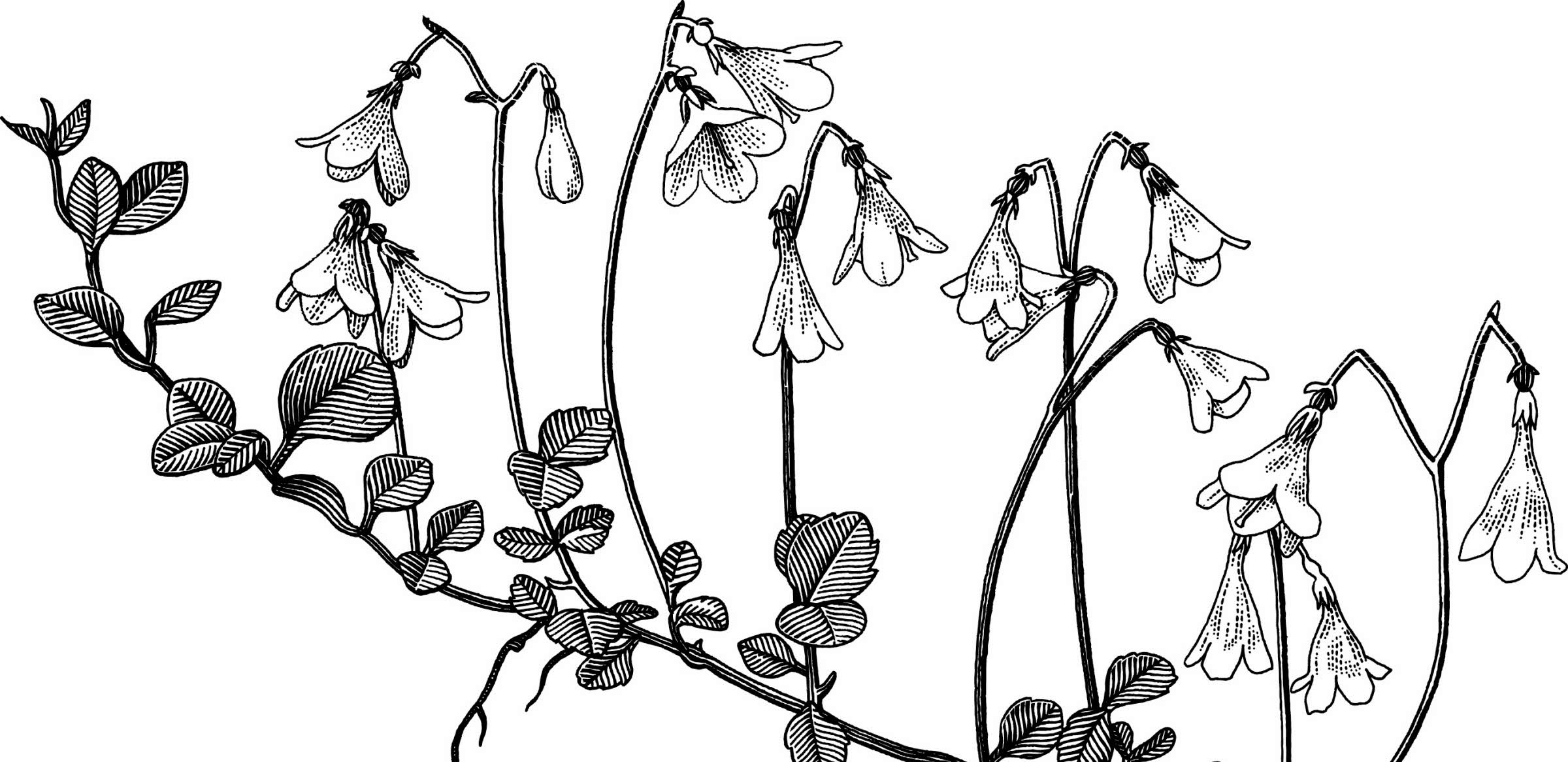 2400x1166 project critical research in sport, health and physical education - Physical Education Drawing