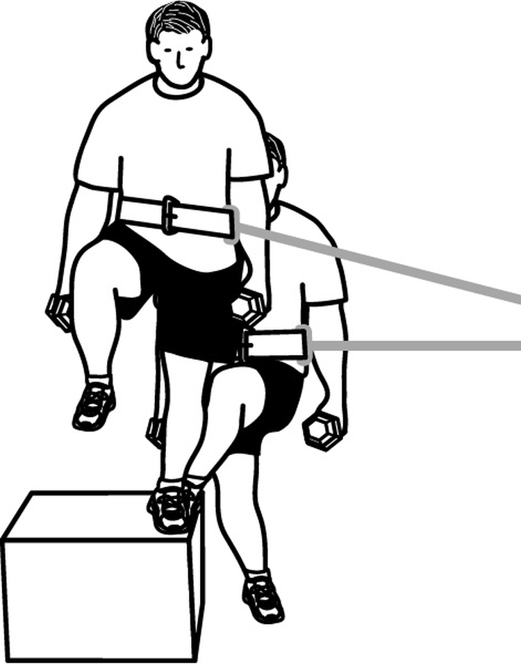 750x957 force drawing strength training for free download - Physical Fitness Drawing