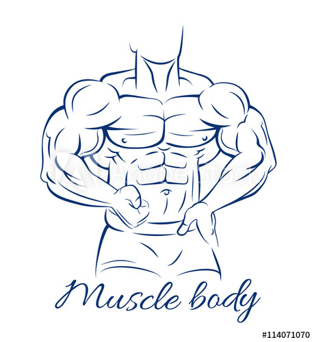 459x500 bodybuilder fitness model muscle body line drawing on white - Physical Fitness Drawing