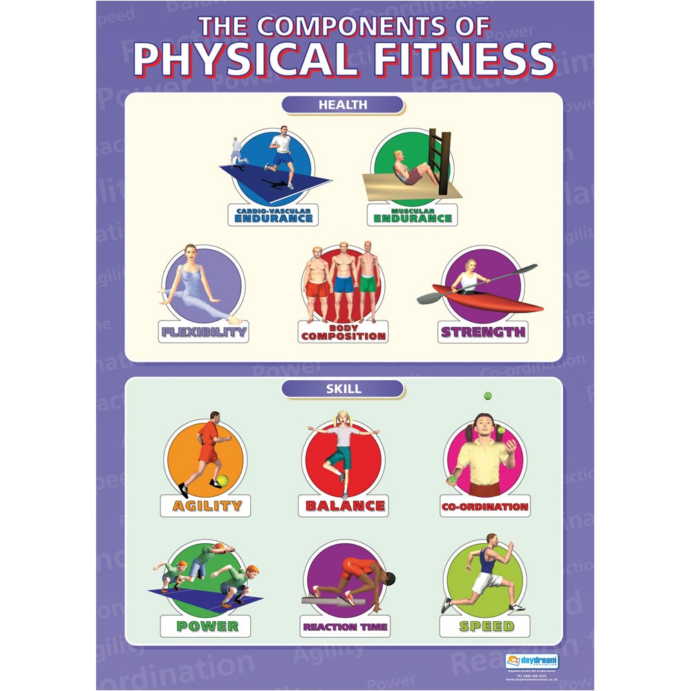 Physical Fitness Drawing at Explore collection of