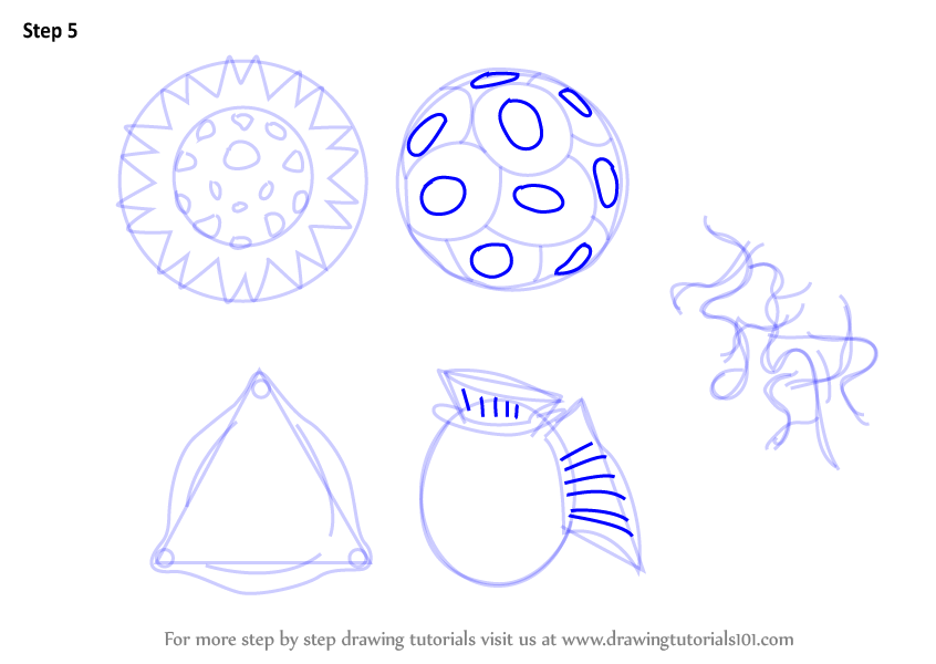 846x600 learn how to draw phytoplankton - Phytoplankton Drawing