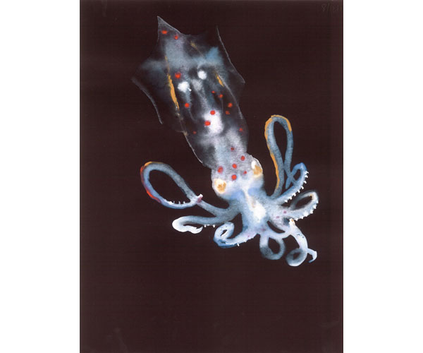 600x500 The Drawing Center New York, Ny Exhibitions Upcoming - Pi Drawing