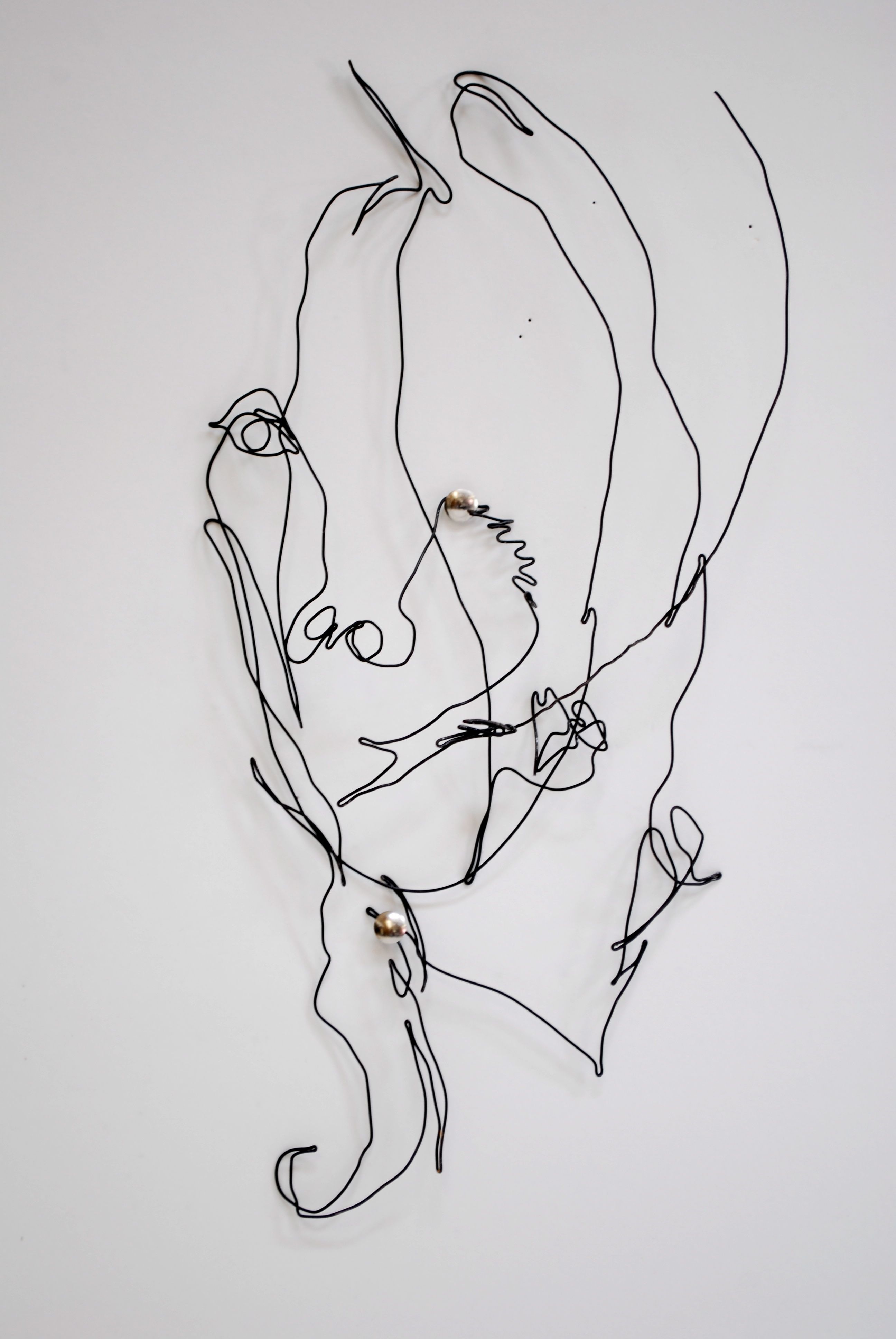 2592x3872 shakespeare drawing picasso for free download - Picasso Contour Drawings