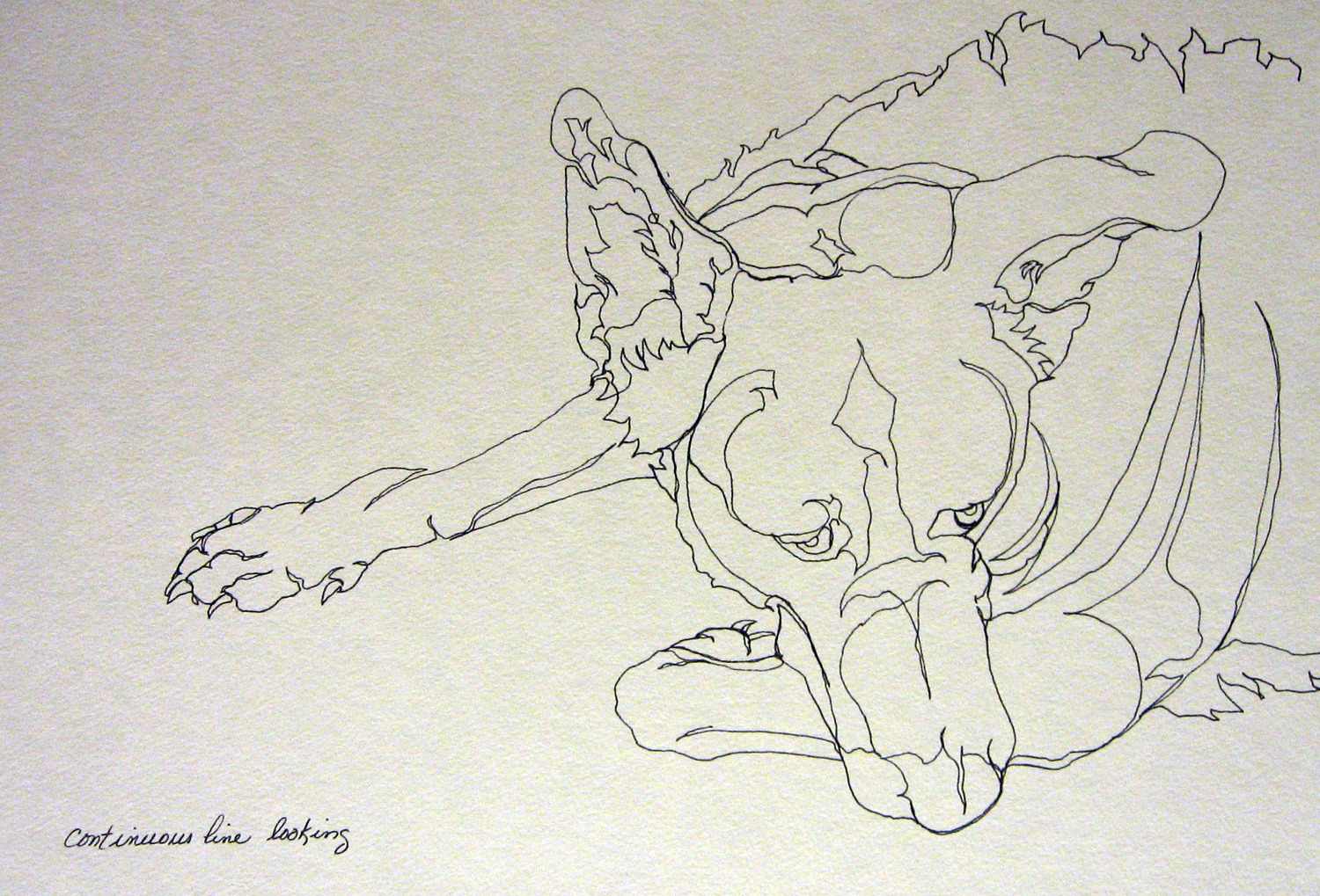 1500x1019 Picasso Twister Portraits - Picasso Contour Drawings