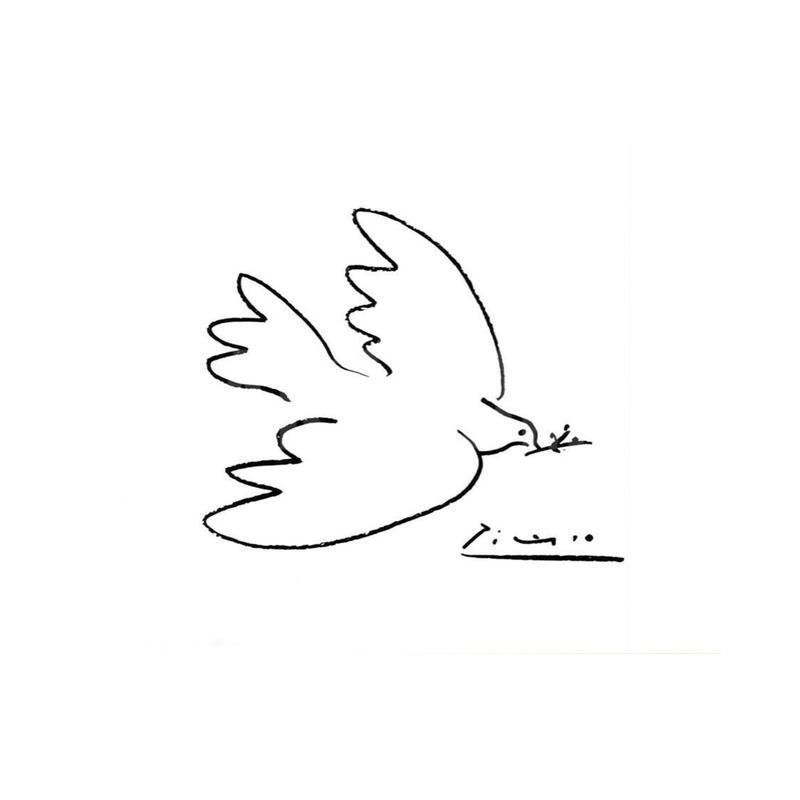 800x800 aux beaux arts dove of peace - Picasso Dove Drawing