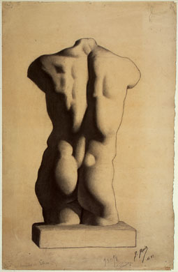 255x390 Picasso's Early Work - Picasso Drawings Value