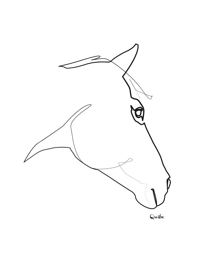 picasso horse sketch.