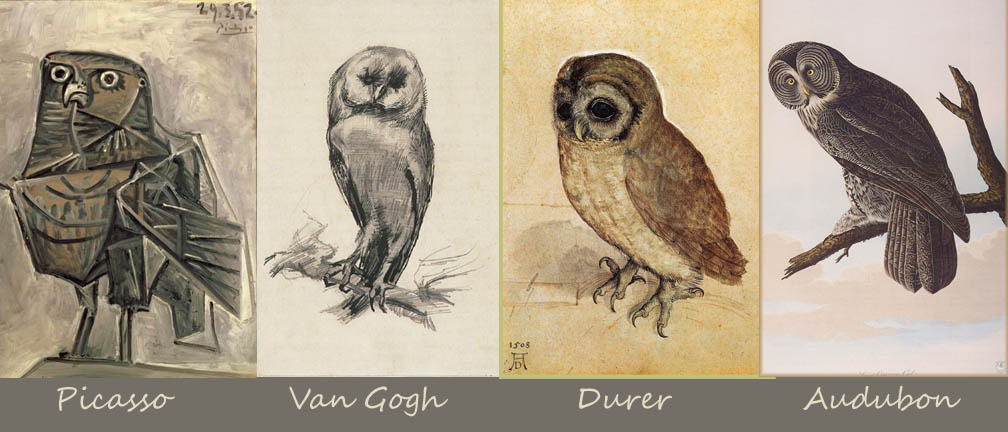 1008x432 The Homeschool Voyager Let's Draw Owls! - Picasso Owl Drawing