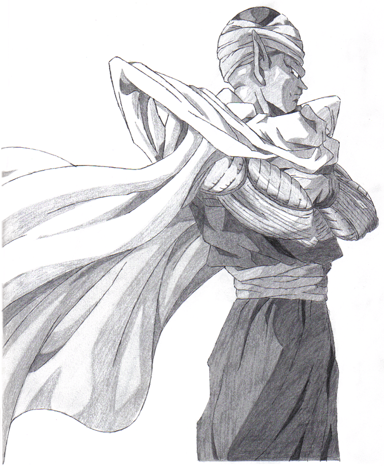 755x915 Piccolo - Piccolo Drawing