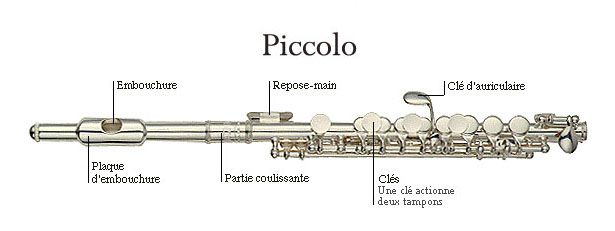 The Different Parts Of A Piccolo: Anatomy And Structure, 50% OFF