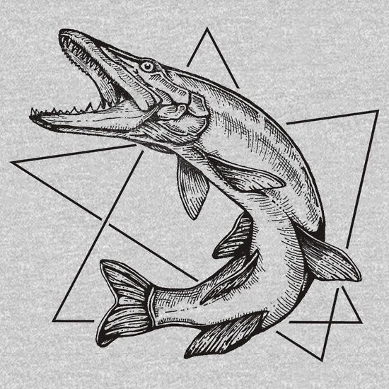 550x550 pickerel - Pickerel Drawing