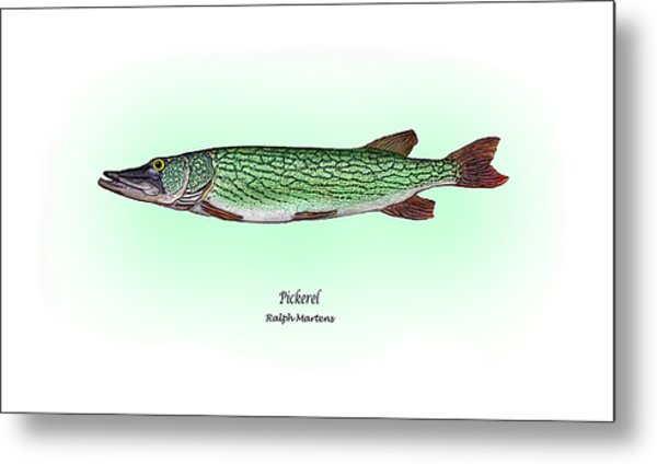 600x424 pickerel painting - Pickerel Drawing